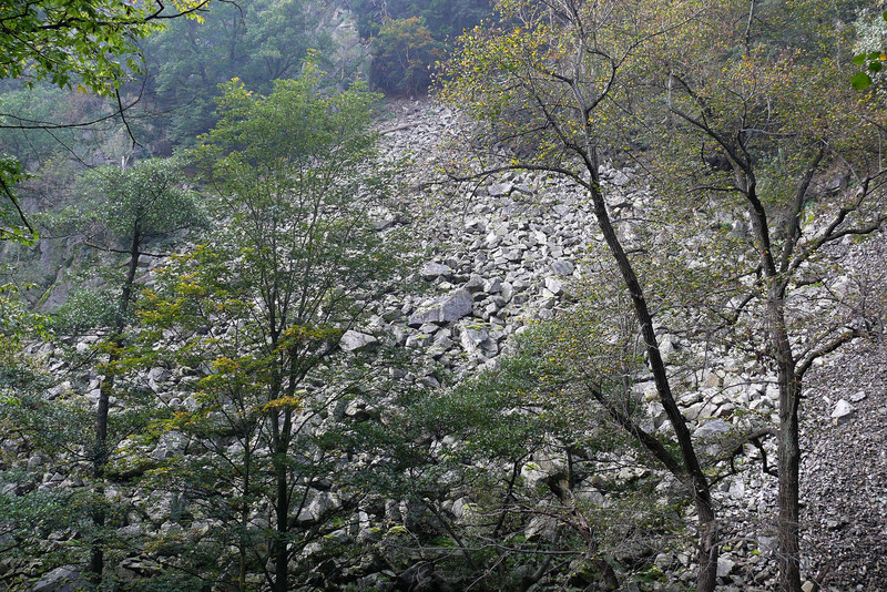 Schutthang Bodetal