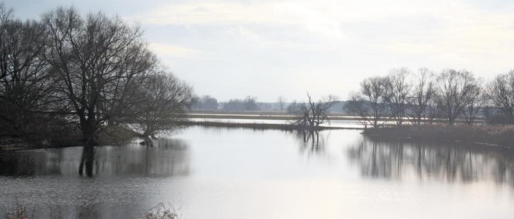 Altarm bei Warnau
