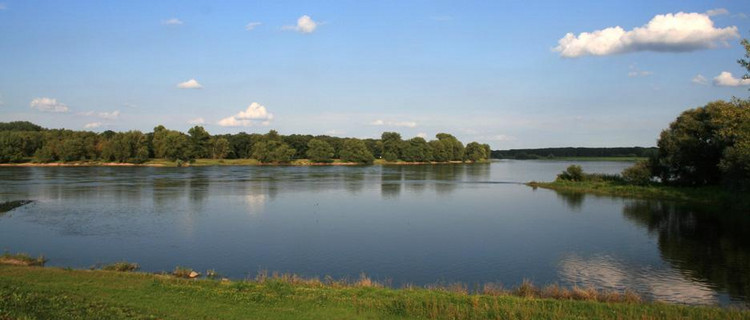 Auen an der Elbe