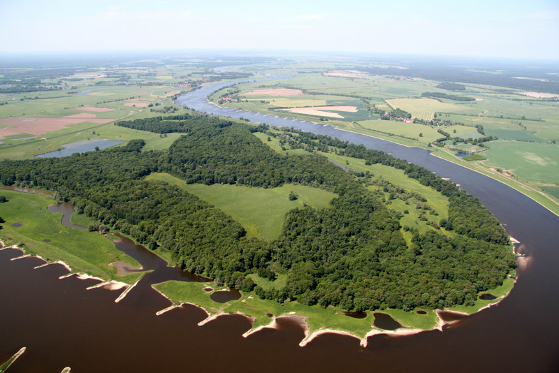 Auwald an der Elbe, Luftaufnahme