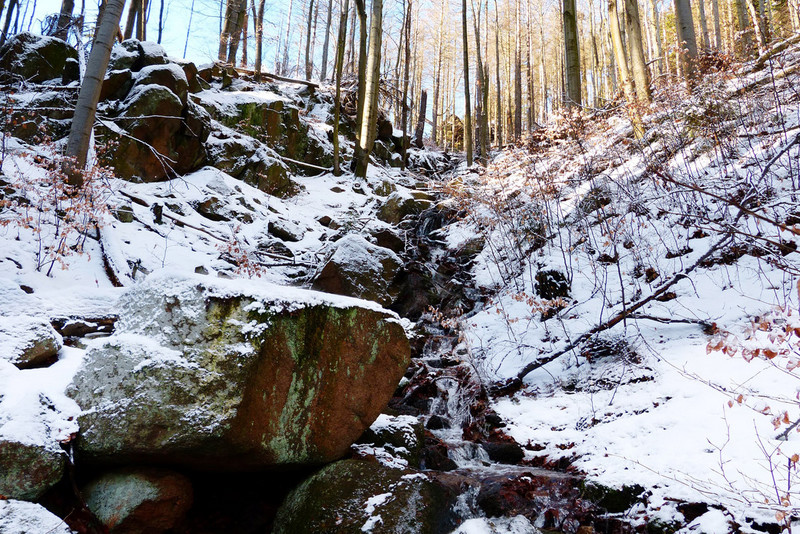 Schlucht im Wald, beschneit