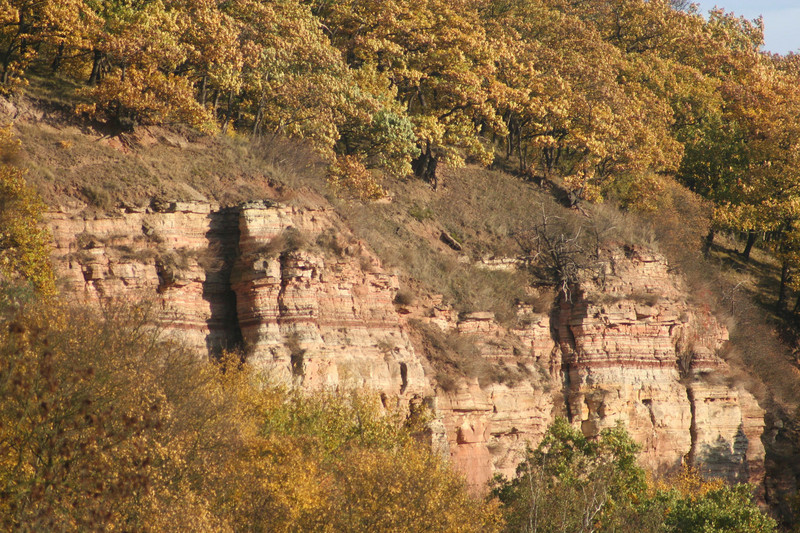 Steilhang aus Buntsandstein