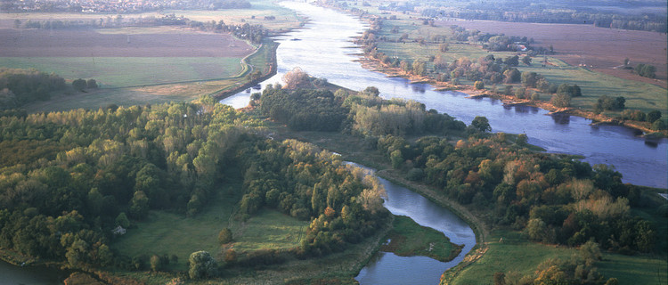 Saalemündung bei Groß Rosenburg in die Elbe aus Vogelperspektive